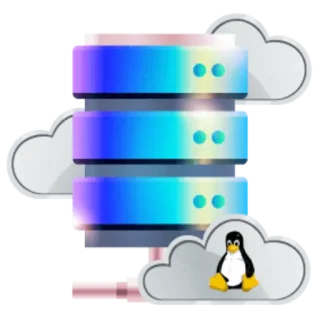 Cloud VPS Linux Server 50GB NVMe SSD Storage